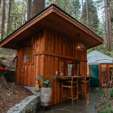 Magical Yurt In The Woods - 2 Miles From Town 호텔 네바다시티 외부 사진