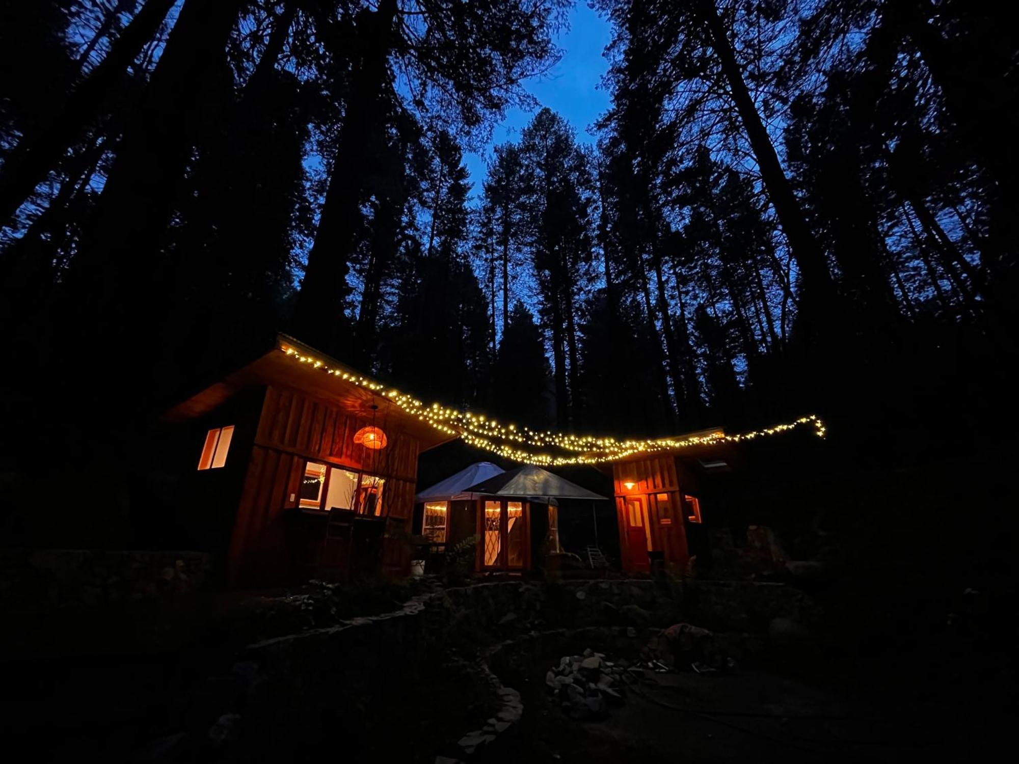 Magical Yurt In The Woods - 2 Miles From Town 호텔 네바다시티 외부 사진