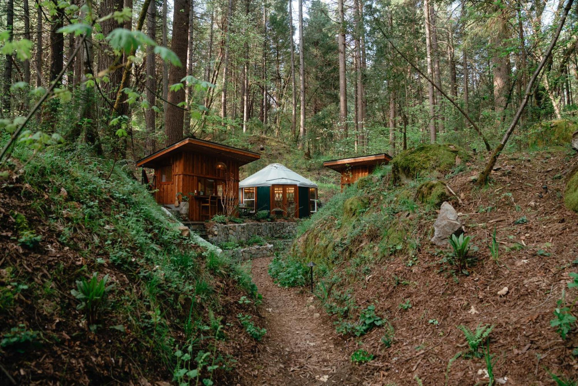 Magical Yurt In The Woods - 2 Miles From Town 호텔 네바다시티 외부 사진